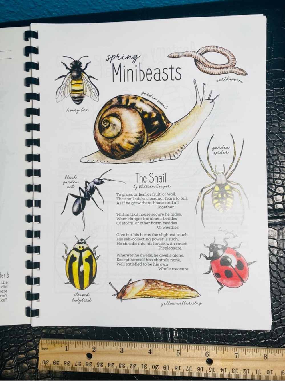 NEW The Seasons Nature Journal The Wild Child’s … 2021 Natalie McCatty - Picture 13 of 14